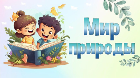 Мир природы